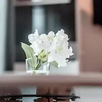 Homestay! Einhundertachtunddreissig * Бремен