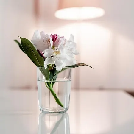 Homestay! Einhundertachtunddreissig *