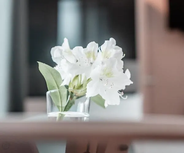 Homestay! Einhundertachtunddreissig * 브레멘