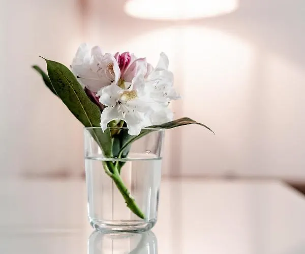 Homestay! Einhundertachtunddreissig *